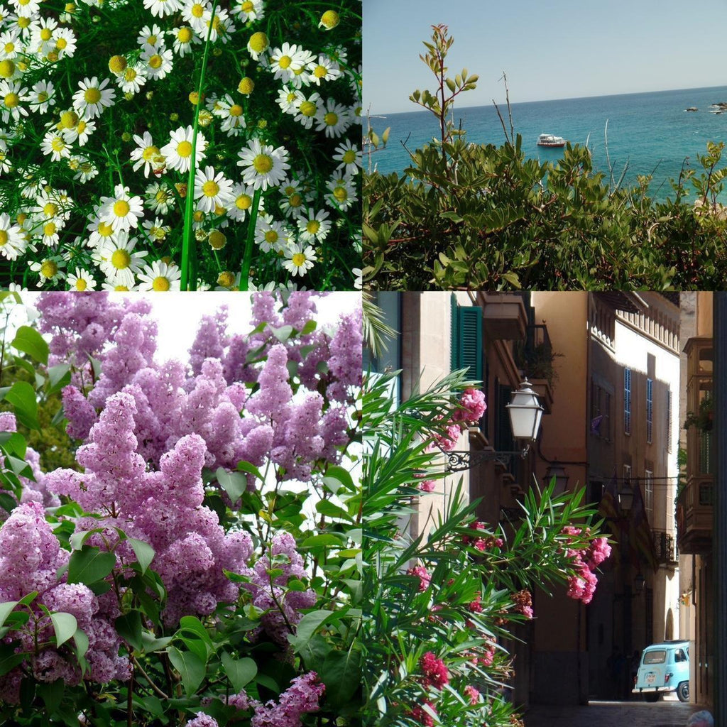 Samsung WB350F digital camera