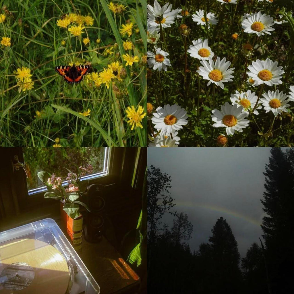 Sony Cybershot DSC-W55 digital camera