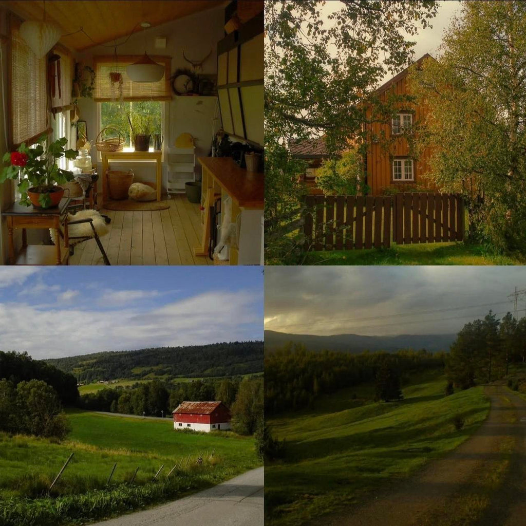 Sony Cybershot DSC-W55 digital camera