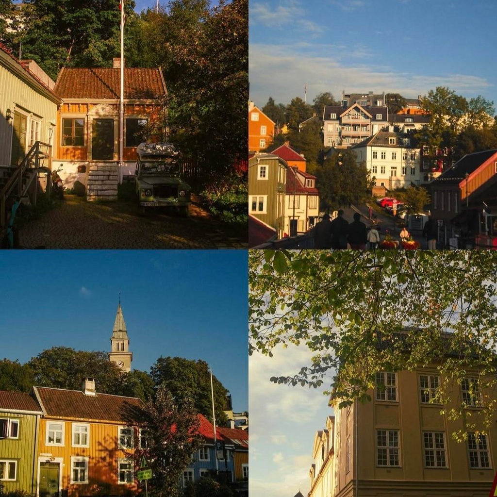 Sony Cybershot DSC-W55 digital camera